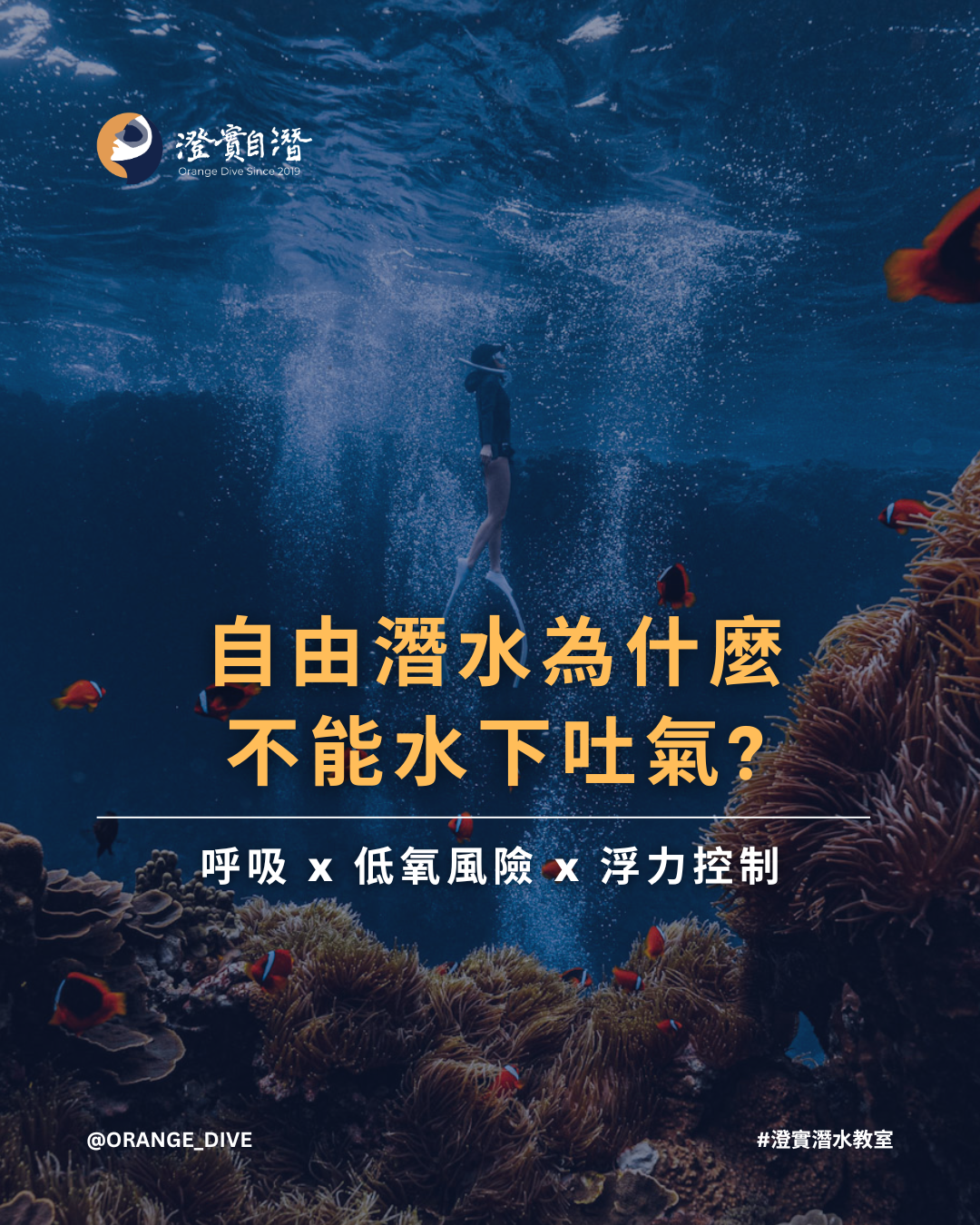 Read more about the article 自由潛水水中吐氣可以嗎？從氧氣、浮力到進階訓練一次了解