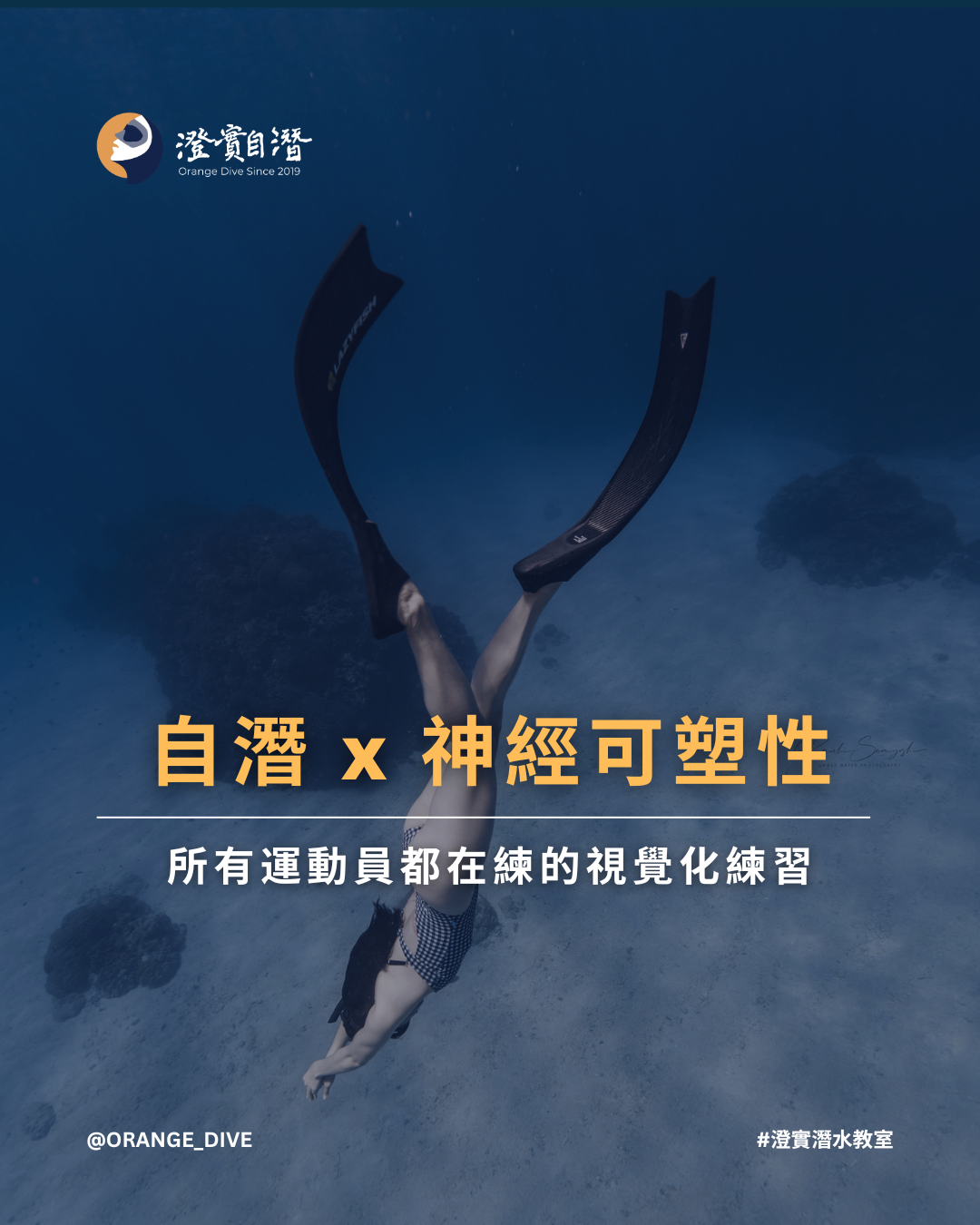 Read more about the article 神經可塑性（下）視覺化訓練如何改變大腦與自由潛水表現